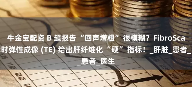 牛金宝配资 B 超报告 “回声增粗” 很模糊？FibroScan 瞬时弹性成像 (TE) 给出肝纤维化 “硬” 指标！_肝脏_患者_医生