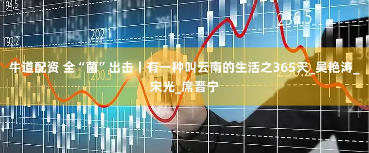 牛道配资 全“菌”出击丨有一种叫云南的生活之365天_吴艳涛_宋光_席晋宁