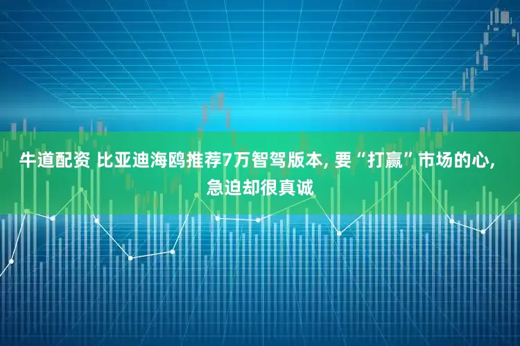 牛道配资 比亚迪海鸥推荐7万智驾版本, 要“打赢”市场的心, 急迫却很真诚