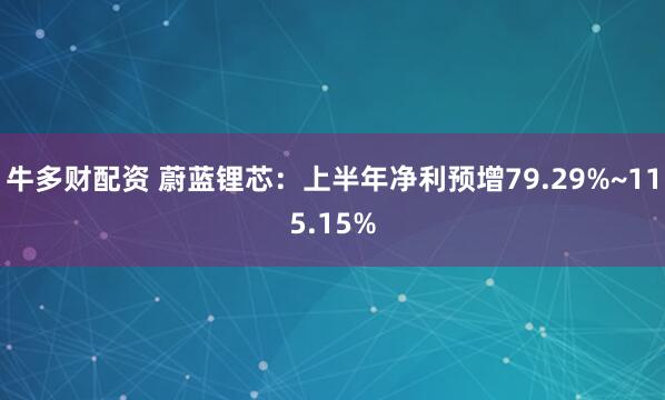 牛多财配资 蔚蓝锂芯：上半年净利预增79.29%~115.15%