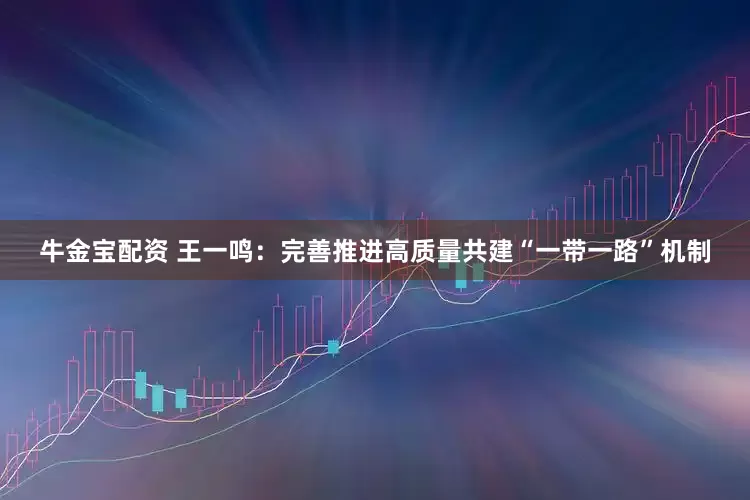 牛金宝配资 王一鸣：完善推进高质量共建“一带一路”机制