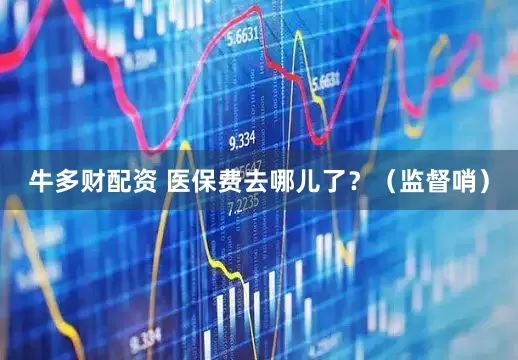 牛多财配资 医保费去哪儿了？（监督哨）