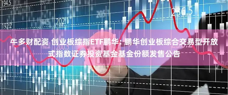 牛多财配资 创业板综指ETF鹏华: 鹏华创业板综合交易型开放式指数证券投资基金基金份额发售公告