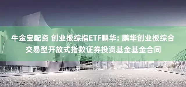牛金宝配资 创业板综指ETF鹏华: 鹏华创业板综合交易型开放式指数证券投资基金基金合同