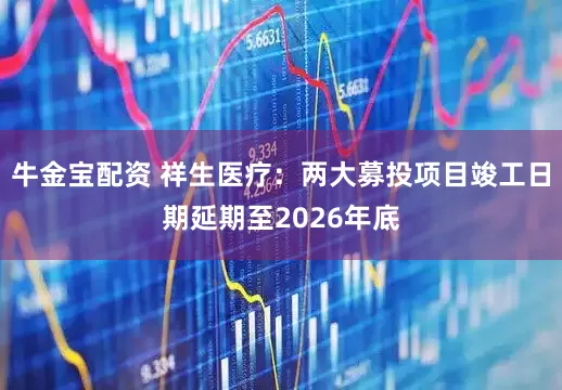 牛金宝配资 祥生医疗：两大募投项目竣工日期延期至2026年底
