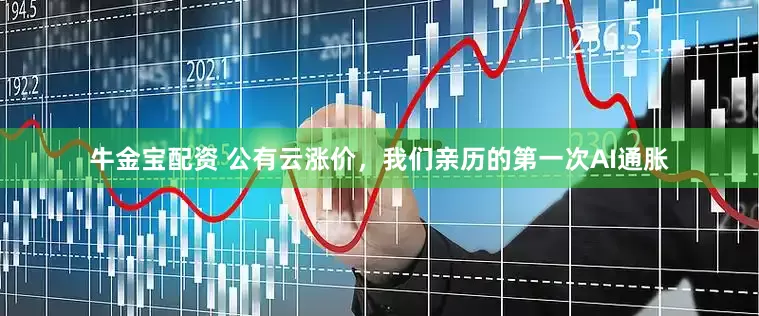 牛金宝配资 公有云涨价，我们亲历的第一次AI通胀